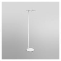 LEDVANCE SUN@Home Panan Floor stojacia LED lampa