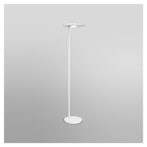 LEDVANCE SUN@Home Panan Floor stojacia LED lampa