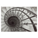 Dekoria Obraz na plátne Spiral Stairs, 100 x 70 cm