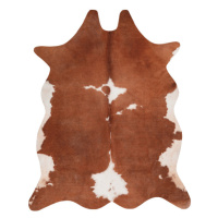 Kusový koberec Toledo 195 brown - 155x190 tvar kožešiny cm Obsession koberce