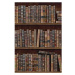 MINDTHEGAP Book Shelves - tapeta