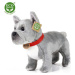 Rappa Plyšový pes buldoček sivý 30 cm Eco Friendly