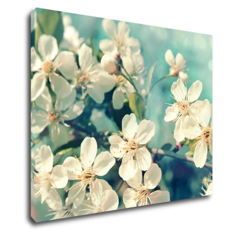 Impresi Obraz Čerešňový kvet modré pozadie - 90 x 70 cm