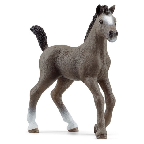 Schleich Zvieratko Žriebä plemena Selle Français