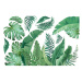 Samolepka na stenu 60x90 cm Tropical Leaves - Ambiance