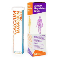 ROSEN PHARMA ZINOK, MAGNESIUM, CALCIUM 20 šumivých tabliet