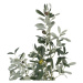 Umelý olivovník (výška  112 cm) Olive Tree – Ixia