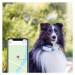 Tractive GPS DOG 4 tracker polohy a aktivity pre psov biely