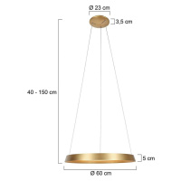 Závesné svietidlo Ringlux LED, 1 svetlo, zlatá farba, kov