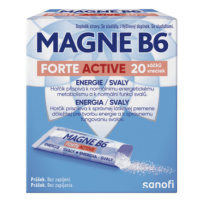 MAGNE B6 Forte active 20 ks