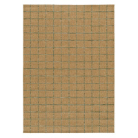 Vnútorný a vonkajší koberec v prírodnej farbe 160x230 cm Pergola – Universal