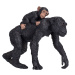 Mojo Šimpanz a mláďa