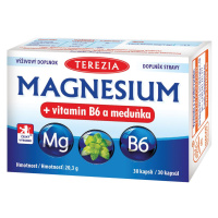 TEREZIA Magnesium + vitamín B6 a medovka 30 kapsúl