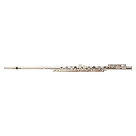 Bacio Instruments BFL-100