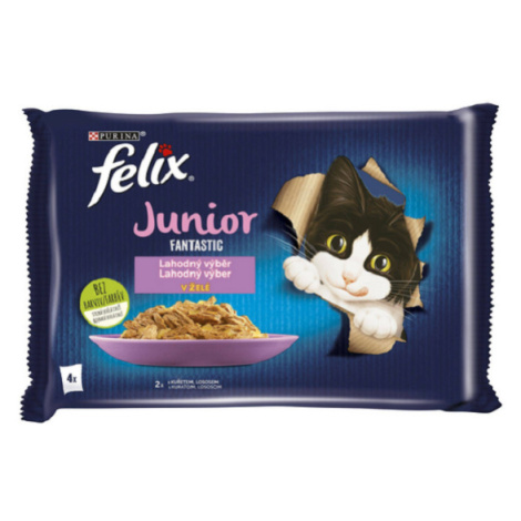 FELIX Fantastic pre mačky junior kura&losos kapsičky pre mačky 4x85g