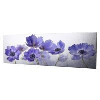 Obraz na plátne Violet beauty PC028 30x80 cm