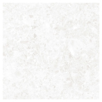 Dlažba Rako Atacama bielosivá 60x60 cm mat DAK62120.1