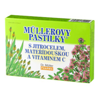 MÜLLEROVE PASTILKY so skorocelom, materinou dúškou a vitamínom C 24 kusov