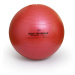 Fitlopta SISSEL® Securemax Ball - Ø 65 cm Farba: strieborná