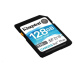 Kingston SDXC karta 128GB Canvas Go! Plus, R:170/W:90MB/s, Class 10, UHS-I, U3, V30