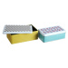 Dekoratívne kovové úložné boxy s vekom v súprave 2 ks Joni – Premier Housewares
