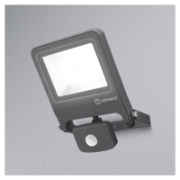 LEDVANCE Endura Floodlight LED reflektor, 30 W