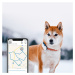 Tractive GPS DOG 4 - GPS sledovanie polohy a aktivity pre psov - biela