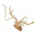 Akváriová dekorácia pavúk koreň 50-60cm Zolux zľava 10%