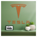 Drevený znak auta na stenu - Tesla , Čerešňa