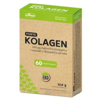 VITAR Kolagén forte + extrakt z Boswellia serrata EKO 60 kapsúl