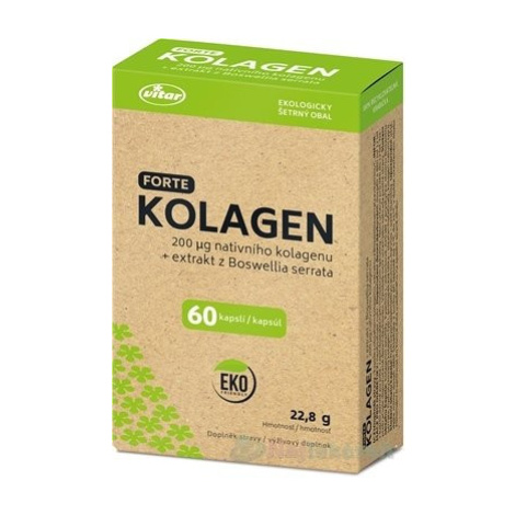 VITAR Kolagén forte + extrakt z Boswellia serrata EKO 60 kapsúl