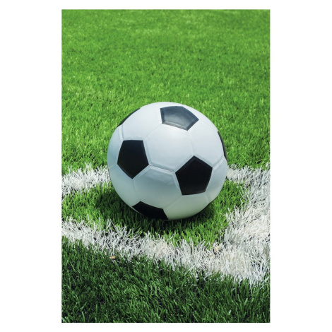 Zelená fleecová detská deka 100x150 cm Football – Jerry Fabrics