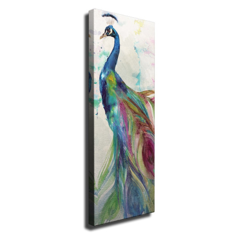 Obraz na plátne Peacock PC118 30x80 cm