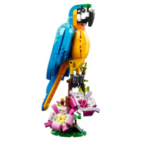 LEGO ® 31136 Exotický papagáj