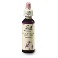 ORIGINAL BACH® Water violet 20 ml