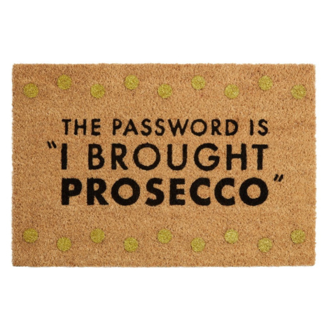 Rohožka z kokosového vlákna 40x60 cm Prosecco – Premier Housewares