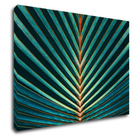 Impresi Obraz Palmový list - 70 x 50 cm