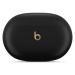 Beats Studio Buds + bezdrôtové slúchadlá s potlačením hluku čierna/zlatá