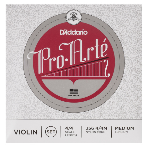 D'Addario Pro-Arte vln 4/4 M