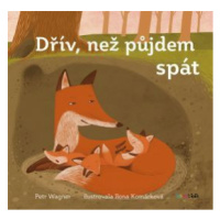 Dřív, než půjdem spát - Petr Wagner, Ilona Komárková