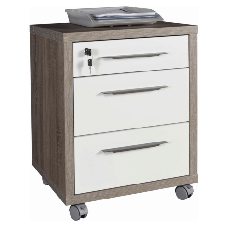 Kontajnery a boxy pod stôl Carryhome