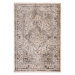 Béžový koberec 240x330 cm Sovereign – Asiatic Carpets
