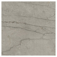 Dlažba Del Conca Boutique silver 60x60 cm lesk G9BO15S