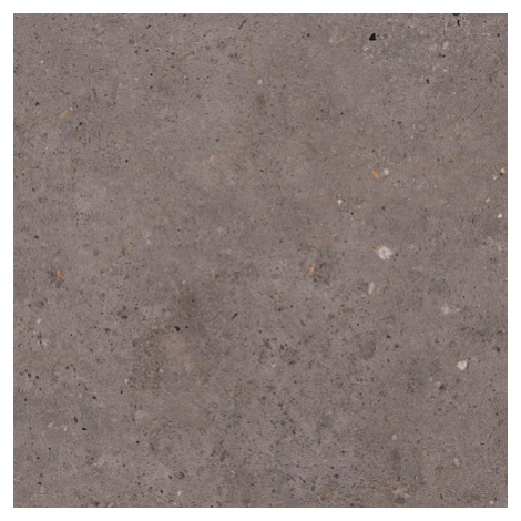 Dlažba Pastorelli Biophilic dark grey 60x60 cm protišmyk P009505