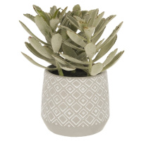 Umelý sukulent (výška  23 cm) Kalanchoe Tomentosa – Kave Home