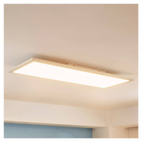 Arcchio Enja LED panel, 79,5 cm x 29,5 cm