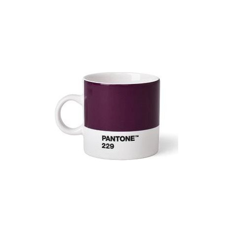 PANTONE Espresso - Aubergine 229, 120 ml