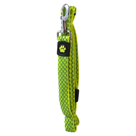 Active dog mellow vôdzka L 3,2x120 cm limetka