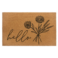 Rohožka Hello 105569 - na ven i na doma - 45x75 cm Hanse Home Collection koberce