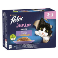 FELIX Fantastic cat Multipack junior (hovädzie,kura,sardinky,losos) v želé kapsička 12x85g